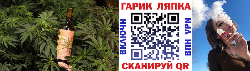 Cannafood конопля  Лыткарино 