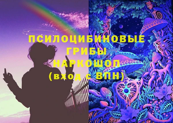 шишки Иннополис