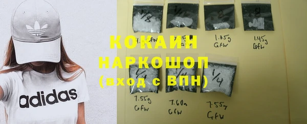 ешки Няндома