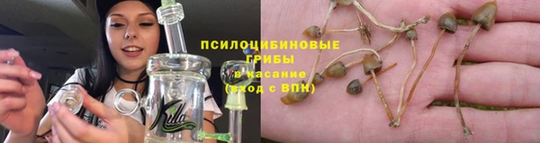 ешки Няндома