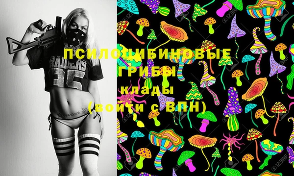 ешки Няндома