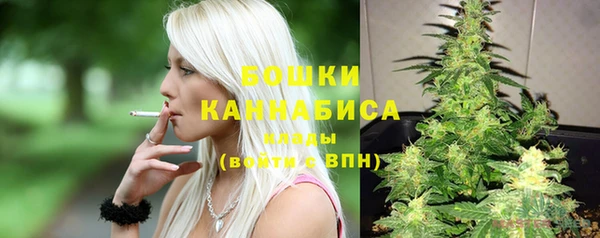 ешки Няндома