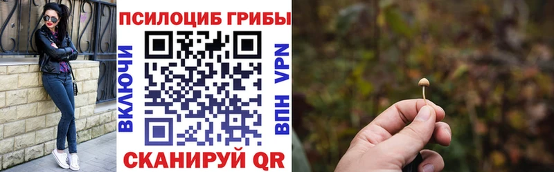 сколько стоит Лыткарино Псилоцибиновые грибы мицелий