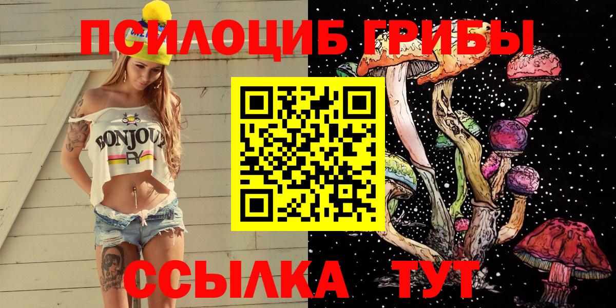 Галлюциногенные грибы Cubensis  Вход с VPN  Лыткарино 