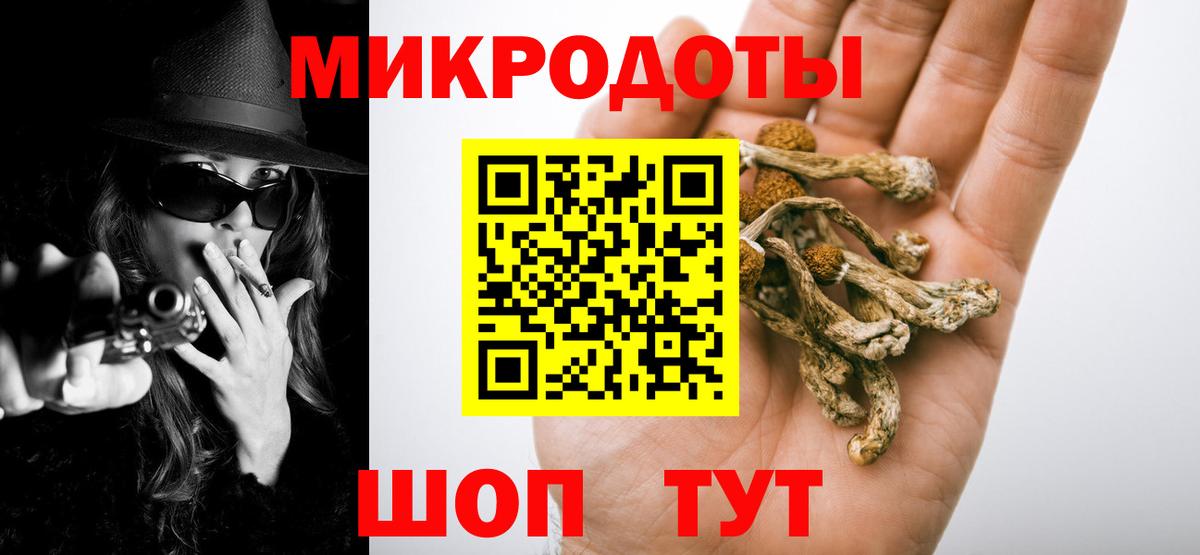 Псилоцибиновые грибы GOLDEN TEACHER  Галлюциногенные грибы Psilocybe  Лыткарино 