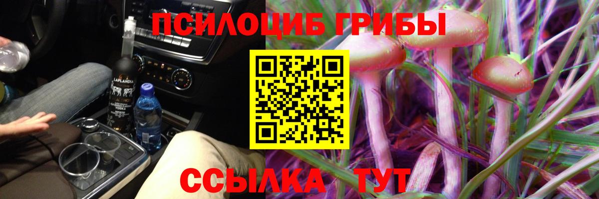 Псилоцибиновые грибы прущие грибы Лыткарино