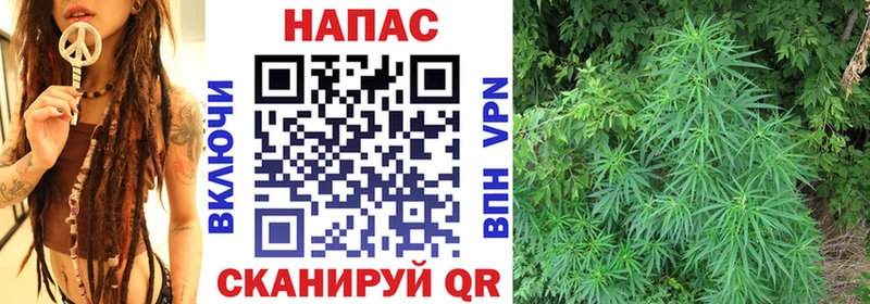 Шишки марихуана марихуана  Лыткарино 